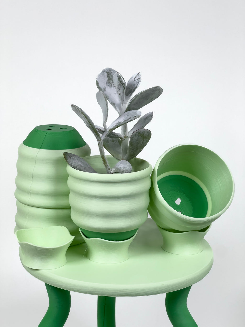 3" Wiggle Cup Planters!