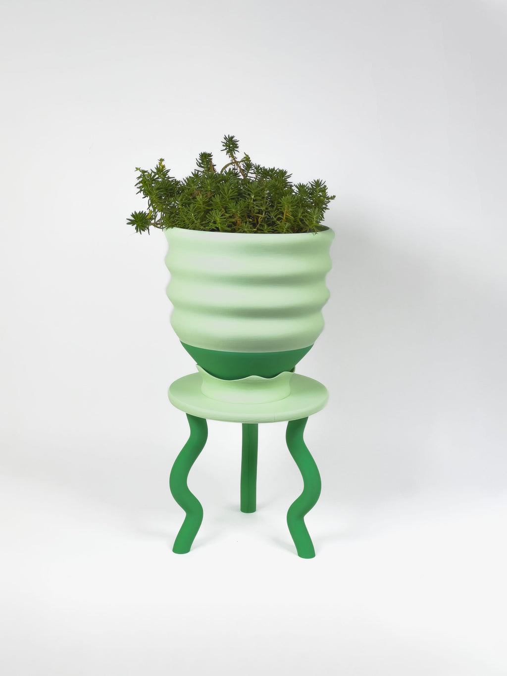 Planter Gift Set Savings Bundle!