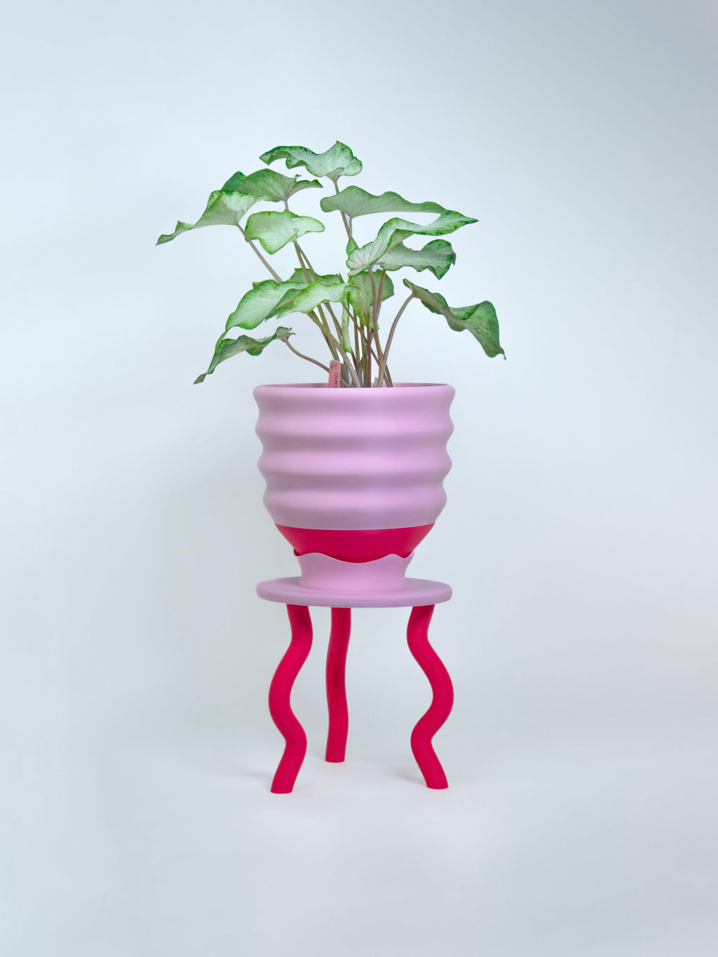 Planter Gift Set Savings Bundle!