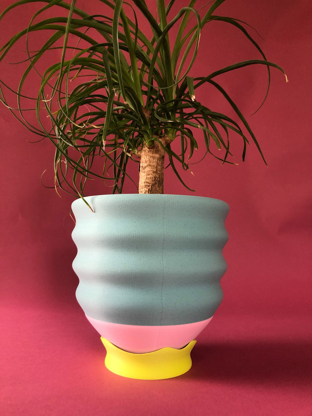 Drainage Tray for Biggle Planters