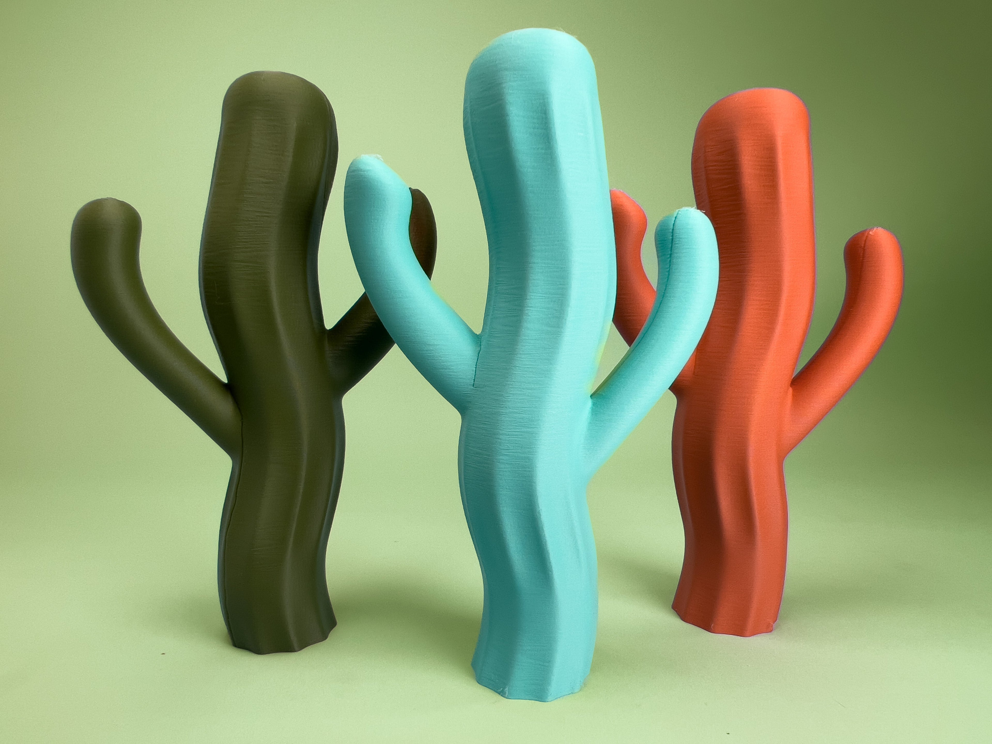 The Saguiggle Cactus