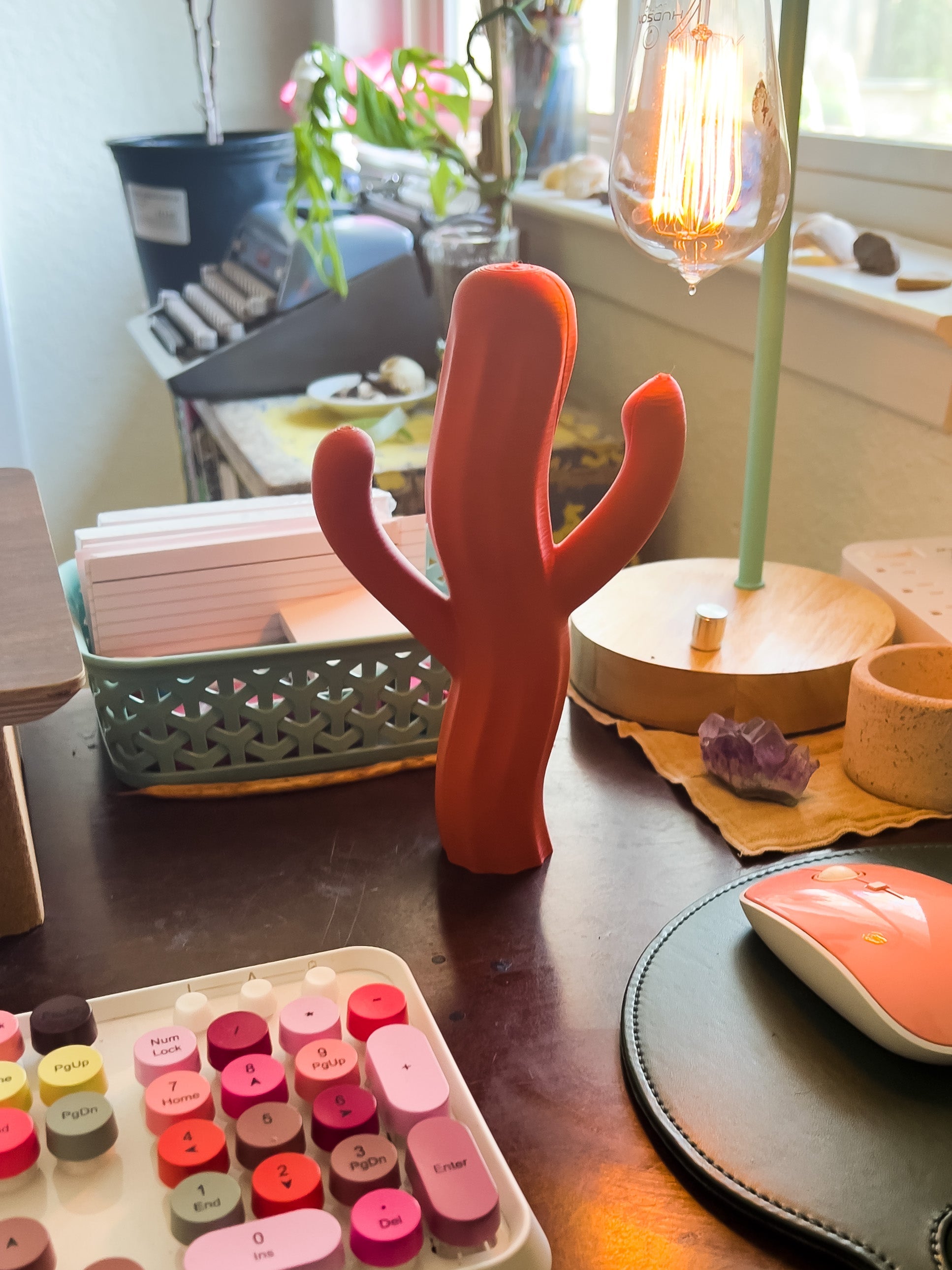 The Saguiggle Cactus